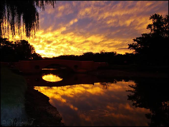 atardecer