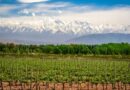 Próximos encuentros de turismo enogastronómico en Mendoza