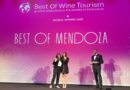 Orgullo argentino: Bodega Trapiche recibió el oro mundial en Verona como experiencia más innovadora de turismo